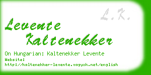 levente kaltenekker business card